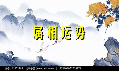 1995年属什么生肖几岁了 1995年属什么生肖的命