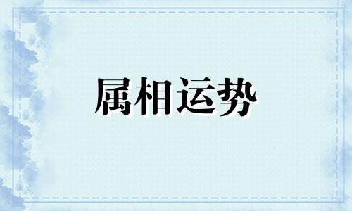 干干净净是什么生肖?干干净净是什么生肖动物