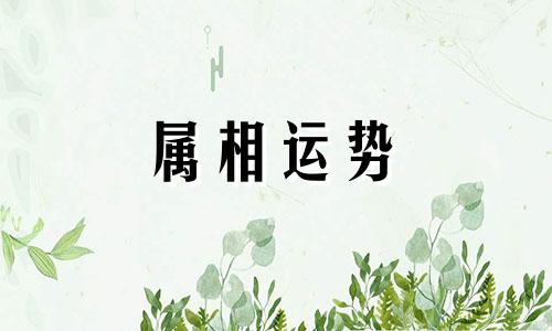 生肖年龄对照表2023 2023年十二生肖号码表完整版