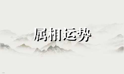 2026年属什么生肖五行属什么 2026年属什么生肖属相什么命