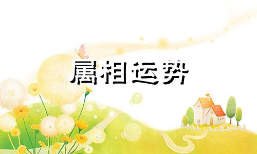 今年27岁属什么生肖 27岁属什么生肖2023年多大