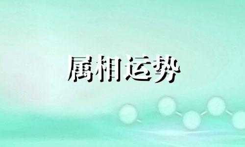 鼠和兔合不合 鼠和兔合不合适婚姻