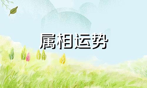 属牛的今年婚姻怎么样 属牛的今年运势怎么样2023