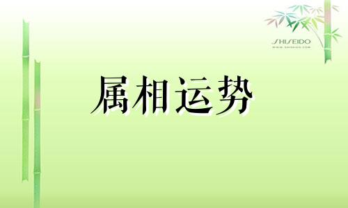 属鼠和属鸡的婚姻怎么样 属鼠和属鸡的婚姻如何