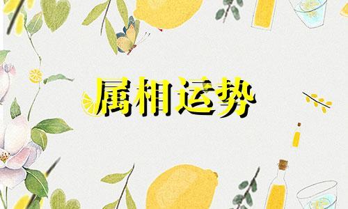 狗鼠生肖配对指数 狗和鼠属相婚配指数