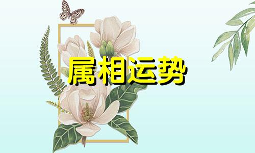 属猪男和属猪女配对，结婚好么