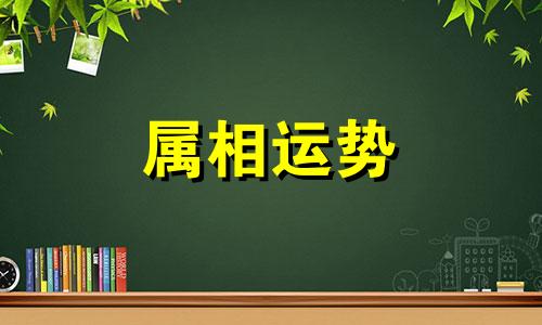 牛狗生肖配对指数 牛和狗属相婚配指数