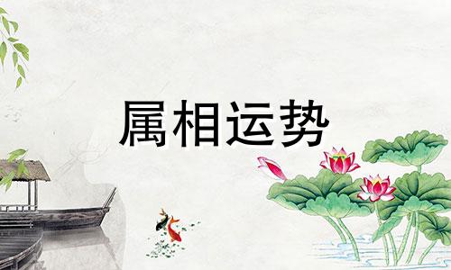 狗兔生肖配对姻缘 狗与兔的婚姻相配吗