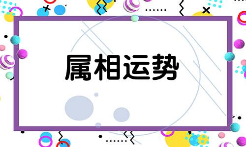 狗狗生肖配对姻缘 狗与狗的婚姻相配吗