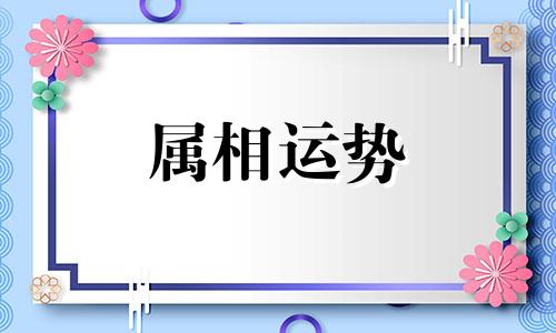 1990年属马男和1994属狗女合吗 感情融洽事业更旺