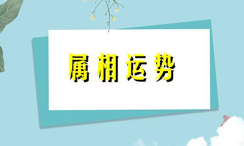 两个95年属猪的相克吗 两个95年属猪的人在一起合适么