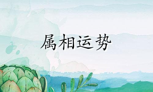 1996年属鼠和1998年属虎能结婚吗 虎和鼠的属相合不合