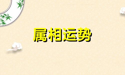 91年属什么生肖配对蛇 91年和蛇相配吗