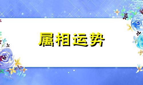 狗跟虎配吗 狗跟虎配的婚姻好不好