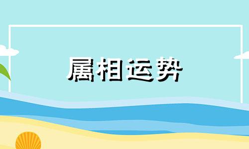 1999属兔人2023年全年运势详解 1999属兔人2023年全年运势详解免费