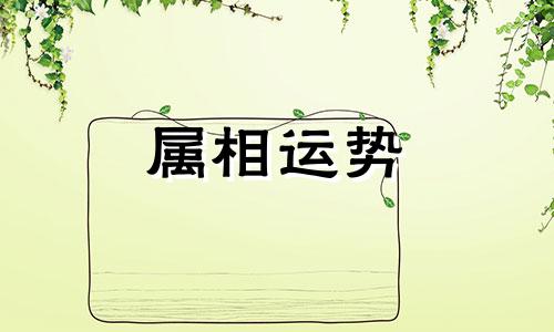 1987属兔人2023年全年运势详解 1987属兔人2023年全年运势详解免费