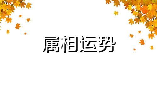 1995年属猪人2023年运势及运程 1995年属猪的2023年运势运程每月运程