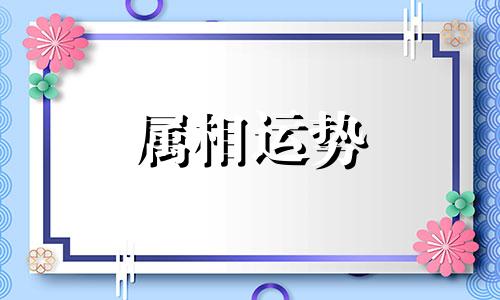 1991年属羊2023年运势完整版 1991年属羊2023年适合结婚吗