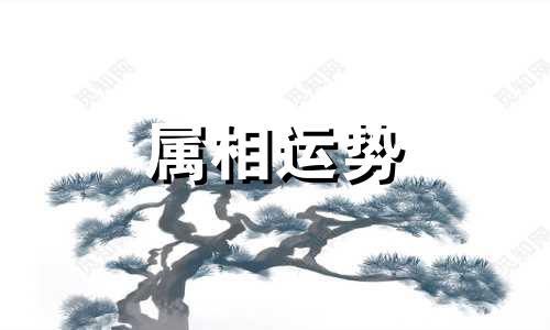 1975属兔人2023年全年运势详解 1975属兔人2023年全年运势详解免费