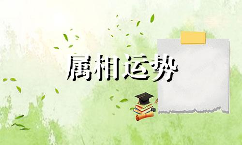 2023年属蛇人的全年运势如何 2023年属蛇人的全年运势