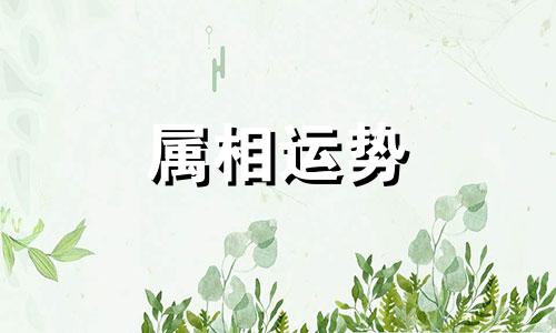 2023年属虎人的全年运势如何 2023年属虎人的全年运势