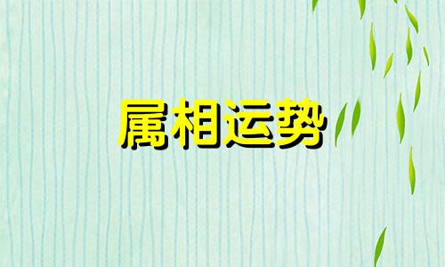 2023年属牛人的全年运势如何 2023年属牛人的全年运势