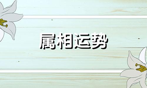 属猴2023年属猴运势及运程 属猴2023年属猴运势及运程如何