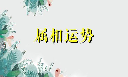 2023年属鼠人运势详解最新完整版 2023年属鼠女人的全年运势如何