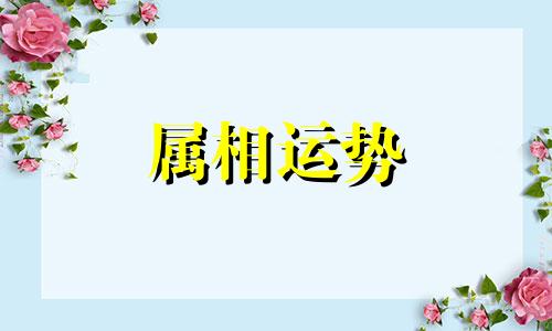 属兔2023年运势及运程详解 属兔人2023年全年每月运势完整版