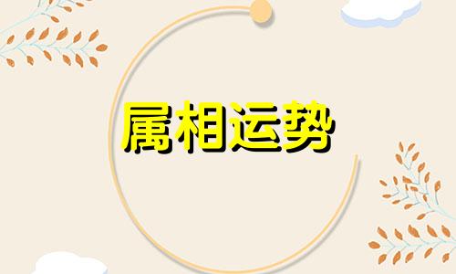 属虎2023年运势及运程详解 属虎人2023年全年每月运势完整版