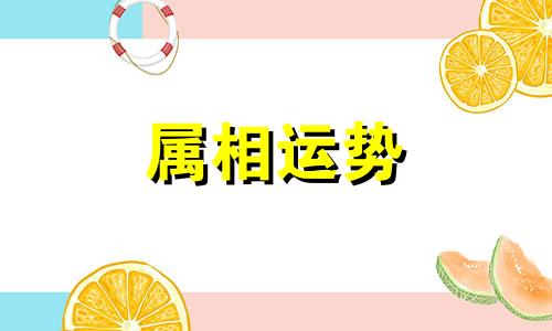 生肖狗2023年上半年运势大全 属狗2023年上半年运势运程