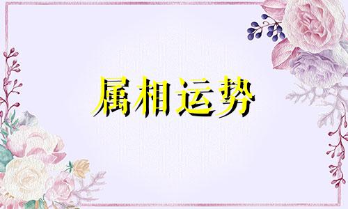 生肖马2023年上半年运势大全 属马2023年上半年运势运程