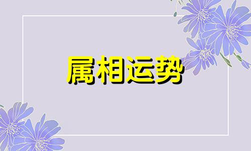 生肖牛2023年上半年运势 属牛2023年上半年运势及运程详解