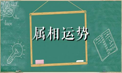 生肖虎2023年上半年运势 属虎2023年上半年运势及运程详解