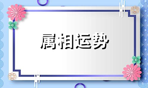 生肖虎2023年上半年运势大全 属虎2023年上半年运势运程