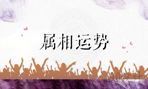 生肖马2023年上半年运势 属马2023年上半年运势及运程详解