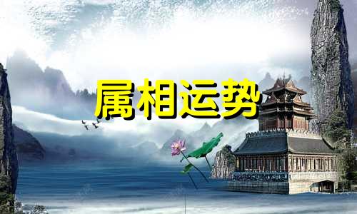 生肖兔2023年上半年运势 属兔2023年上半年运势及运程详解