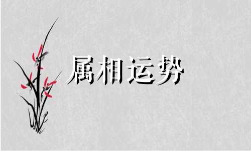 2023年属牛终于转运了 属牛的今年运势怎么样