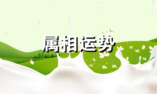 1972年属鼠人2023年全年运势运程 1972年属鼠人2023年每月运势运程