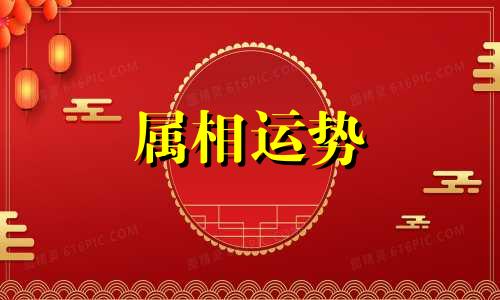 71年属猪的人2023年的运势及运程 1971年属猪的人2023年的运势及运程