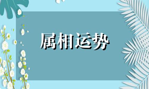 蛇2023年运势详解全年运程完整版 属蛇人2023年全年运势运程