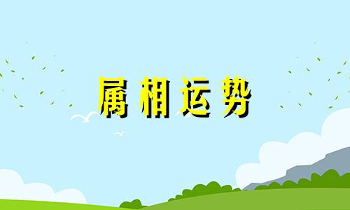 兔2023年运势详解全年运程完整版 属兔人2023年全年运势运程