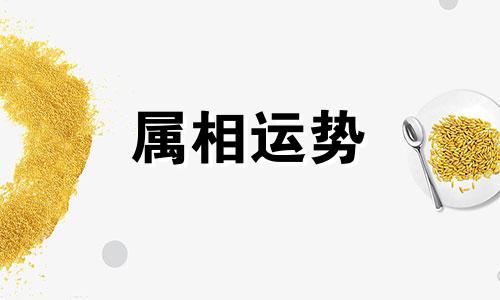 属鼠人2023年全年运势运程详解 属鼠人2023年全年每月运势运程