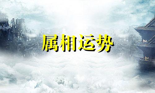 龙2023年运势详解全年运程完整版 属龙人2023年全年运势运程