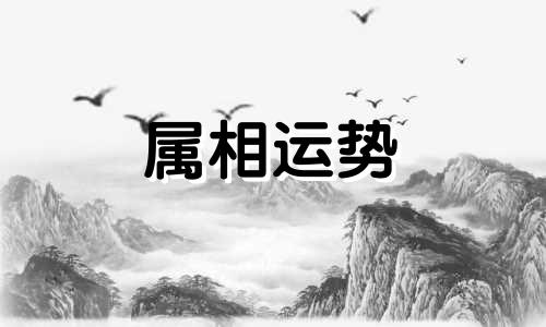 属猪的2023年运势如何 猪年2023年运势及运程