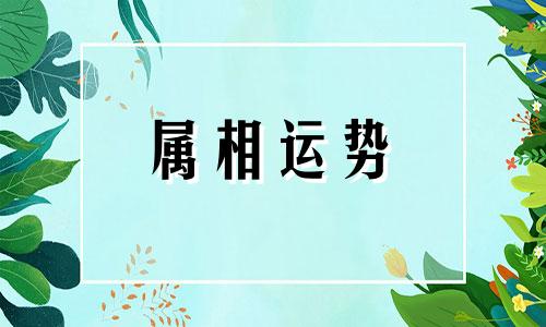 属鸡的2023年运势如何 鸡年2023年运势及运程