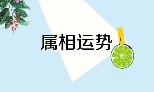 生肖龙2023年运势大全 属龙2023年运势