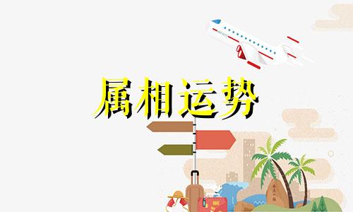 1980年属猴未来5年运势 80年属猴的未来5年运势走向