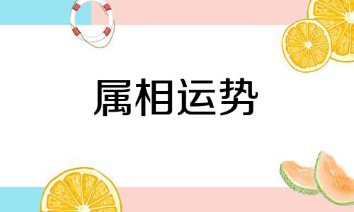 生肖兔2023年的财富运势运程 生肖兔2023年的财富运势运程如何