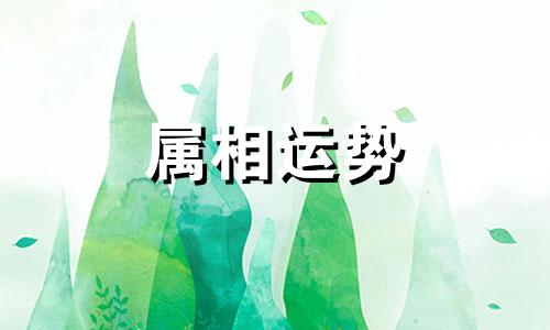 生肖兔2023年运势大全 属兔2023年运势